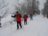 <p>2. Tag: In verschneiter Spur unterwegs nach Neureichenau</p>